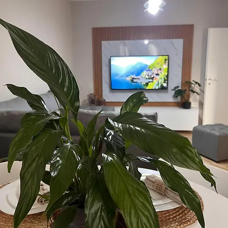 New Modern Apartment