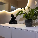 New Modern *