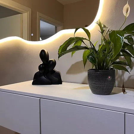 New Modern *