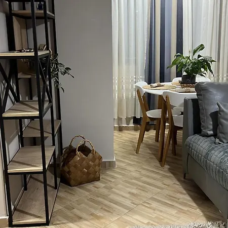 New Modern *