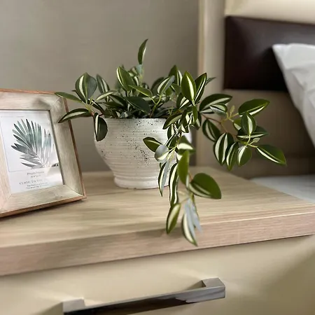 New Modern Apartament *