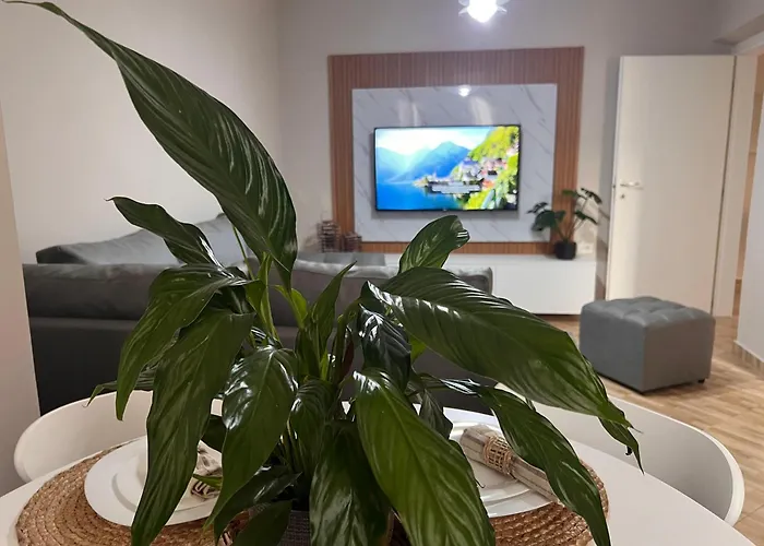 New Modern Apartament