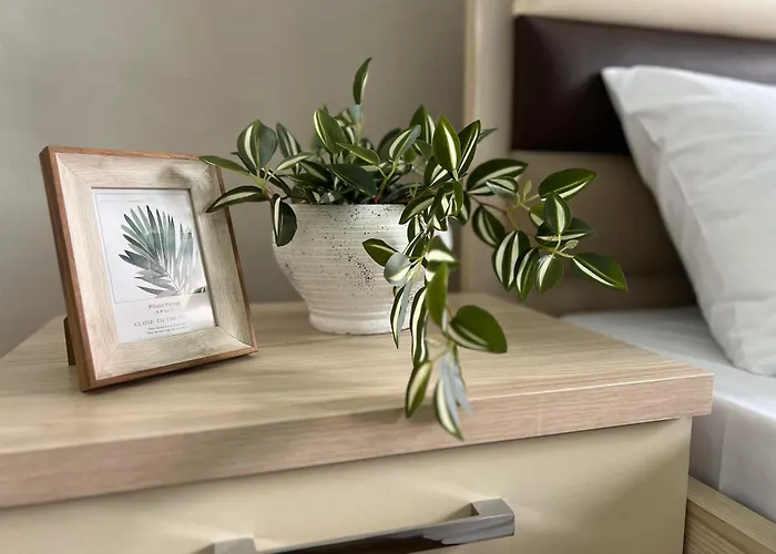 New Modern Apartament *